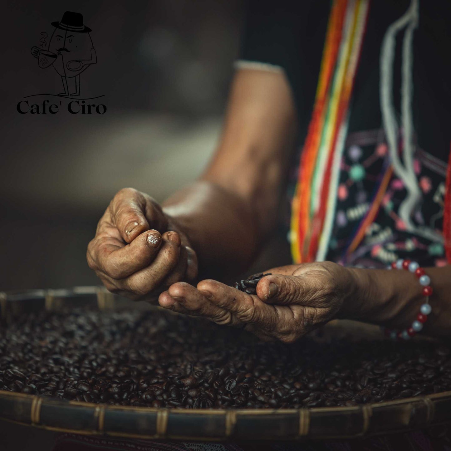 Our latest addition to the coffee family is the Cafe'Ciro N2  Monsoon Malabar Made In India.  This special coffee from India undergoes a unique treatment that replicates the original journeys of the beans back to Britain.