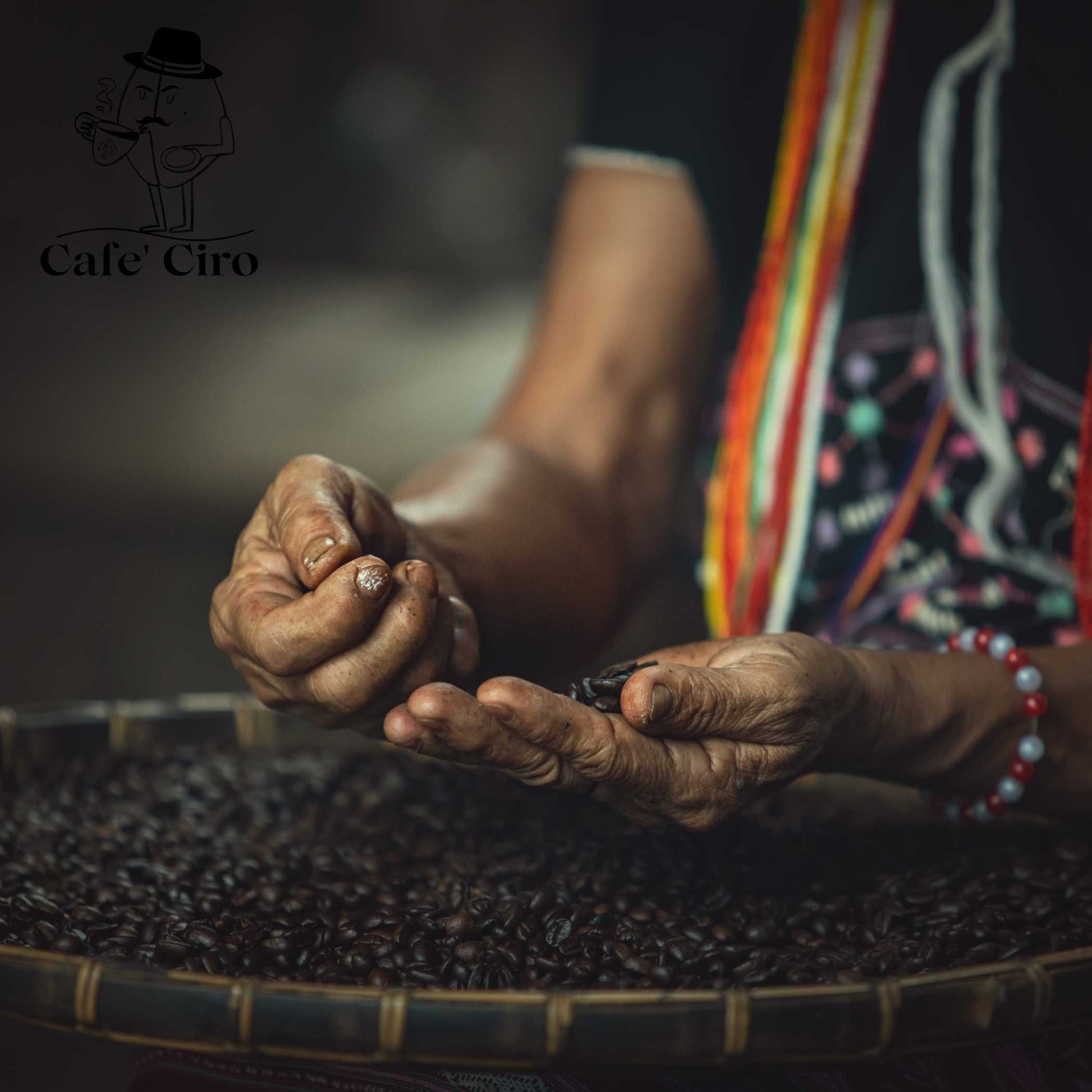 Our latest addition to the coffee family is the Cafe'Ciro N2  Monsoon Malabar Made In India.  This special coffee from India undergoes a unique treatment that replicates the original journeys of the beans back to Britain.